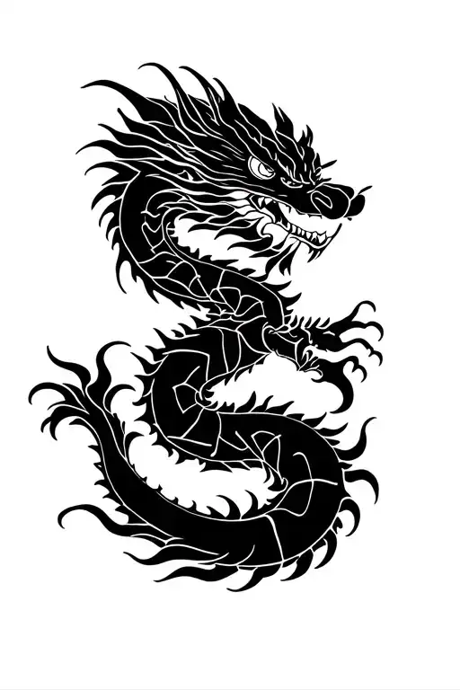 Dragon Wrapped Black And White