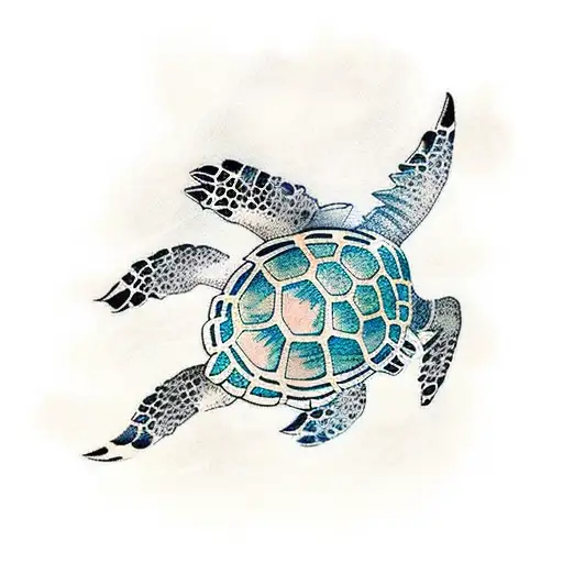 Sea Turtle Waves Sun Beam