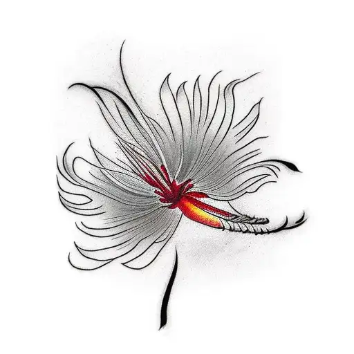 Red Spider Lily With Dad