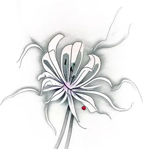 Minimalist Spider Lily Branches