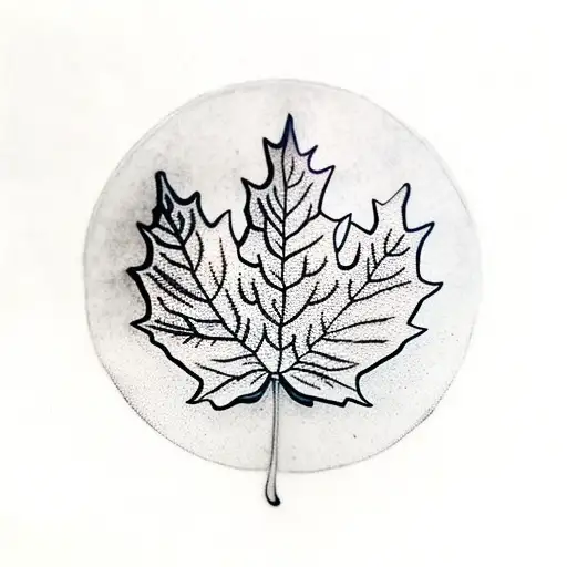 Maple Leaf