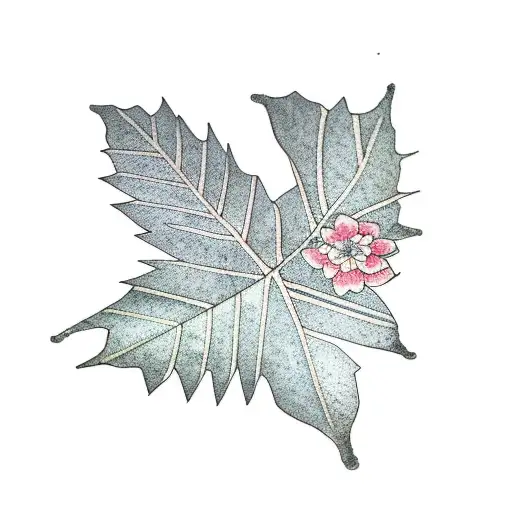 Leaf