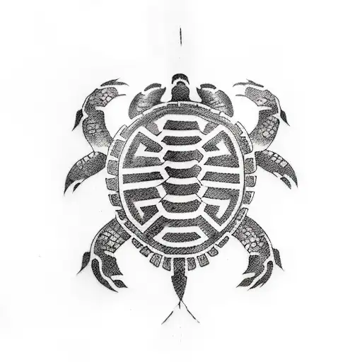Jiu Jitu Turtle
