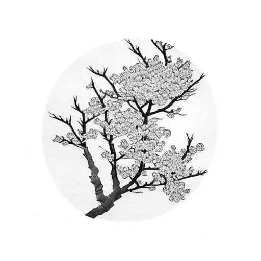 Cherry Blossom Branch Black And White