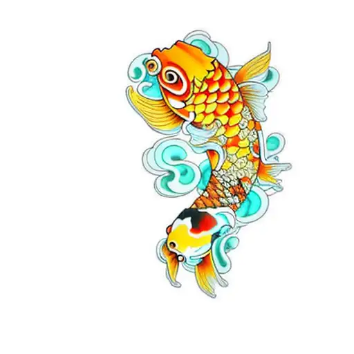 A Koi Fish