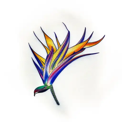 Bird Of Paradise
