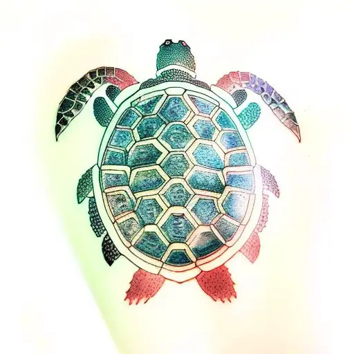 Turtle