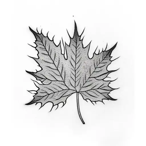 Hazel Leaf And Maple Leaf