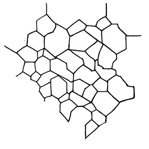 Mix Of Hexagons Black And White Complete Back