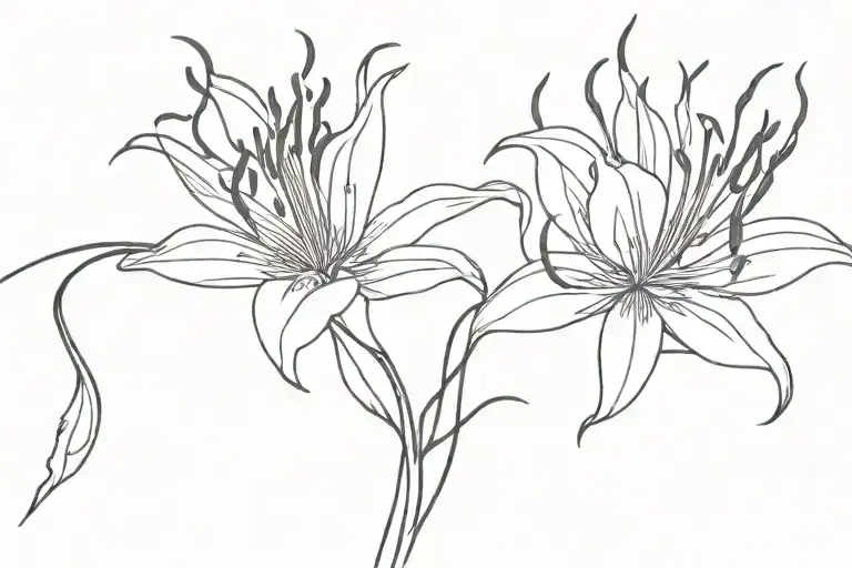 Spider Lily With A Surprise Twist