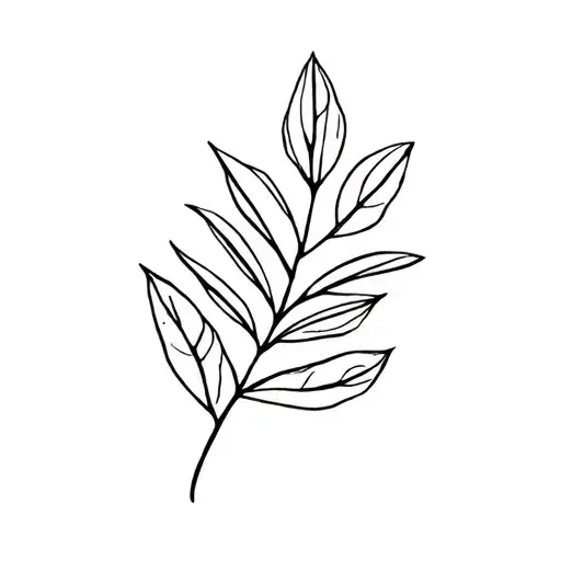 Eucalyptus Leaf And Oak Tree Leaf