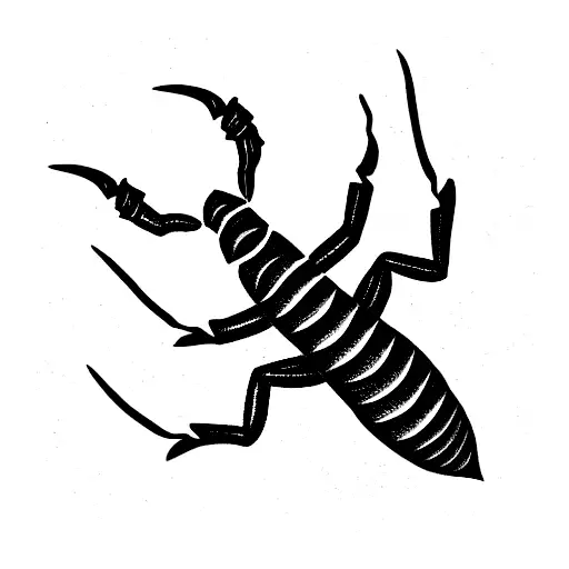 Scorpion