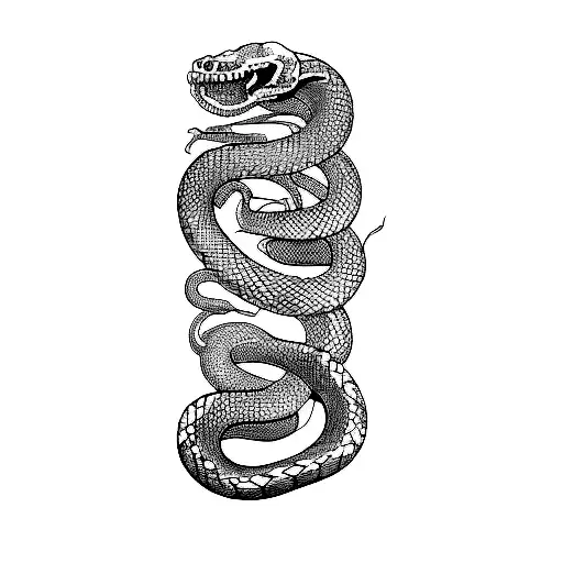 A Snake With A Skull