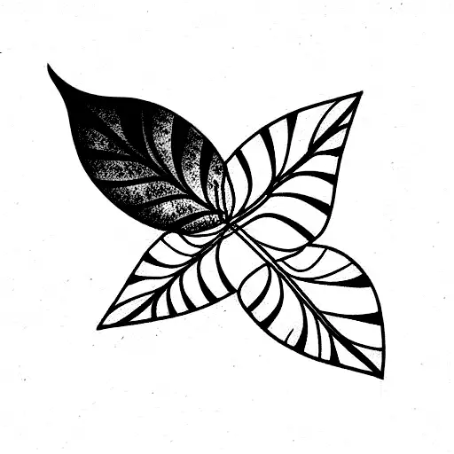 Wrap Around Leaves With A Moth