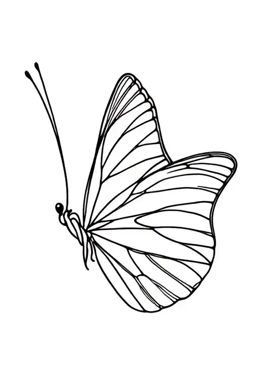 Line Work Simple Butterfly Wing