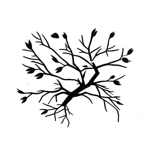 Single Tree Limb With Birds