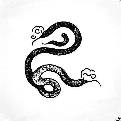 Top View Snake