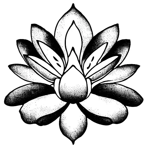 Believe With Lotus