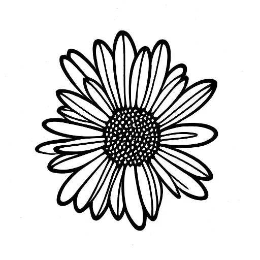 Carnation Daisy Bouquet