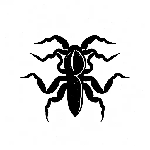 Scorpion Leo Aquarius Taurus