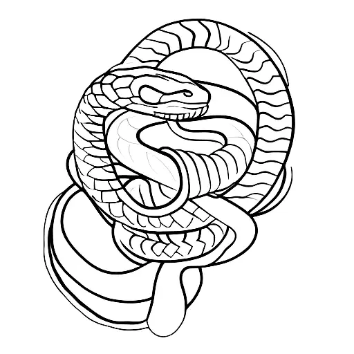 Snake Wrapped Around A Microphone