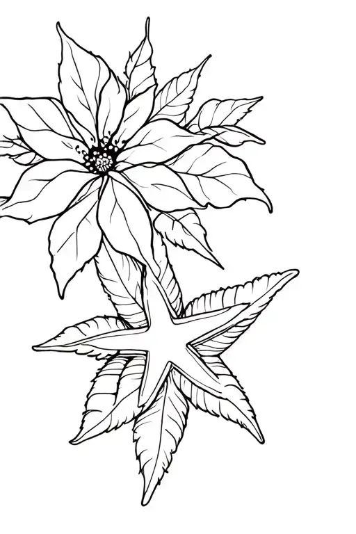 Poinsettia And Seastar And Sunshine Comes