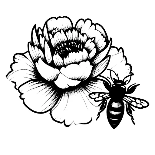 Honey Bee And Peony