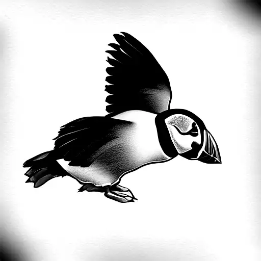 Puffin Bird Colorfull