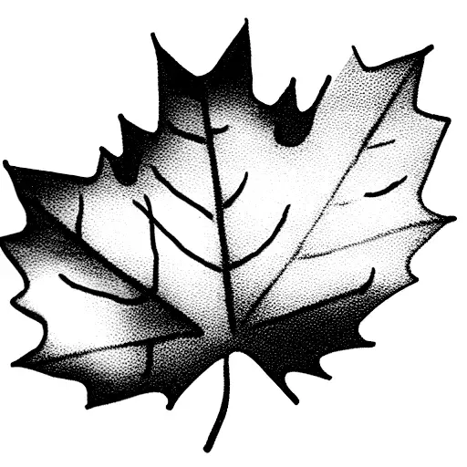 Coffee Bean Combined With Maple Leaf