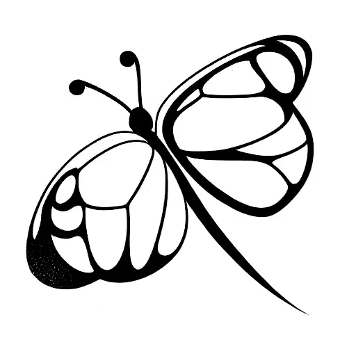 Butterfly Wings Are A Four Leaf Clover