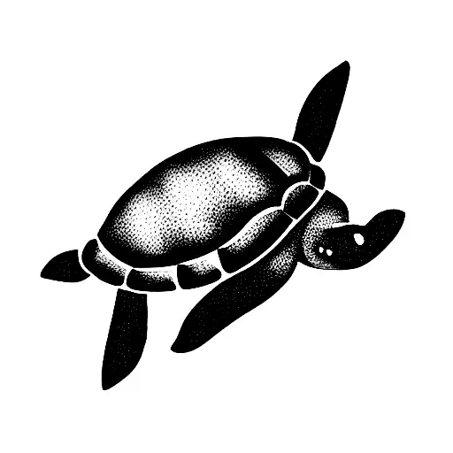 Turtle With Blake On The Shell