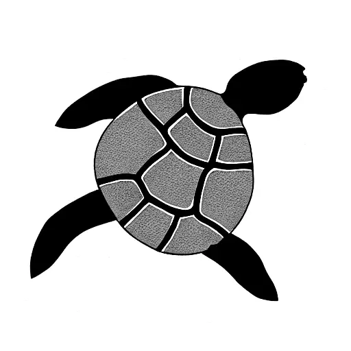 Turtle With Writing