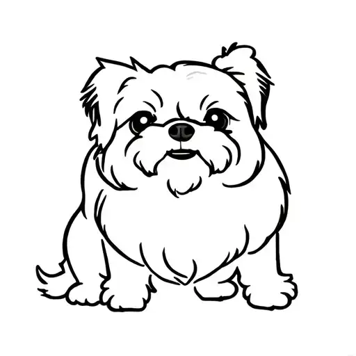Dog Shi Tzu