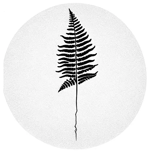 Fern Tree