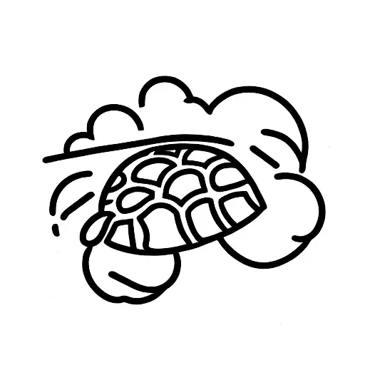 Turtle In The Clouds