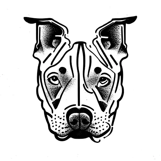 American Red Nose Pitbull