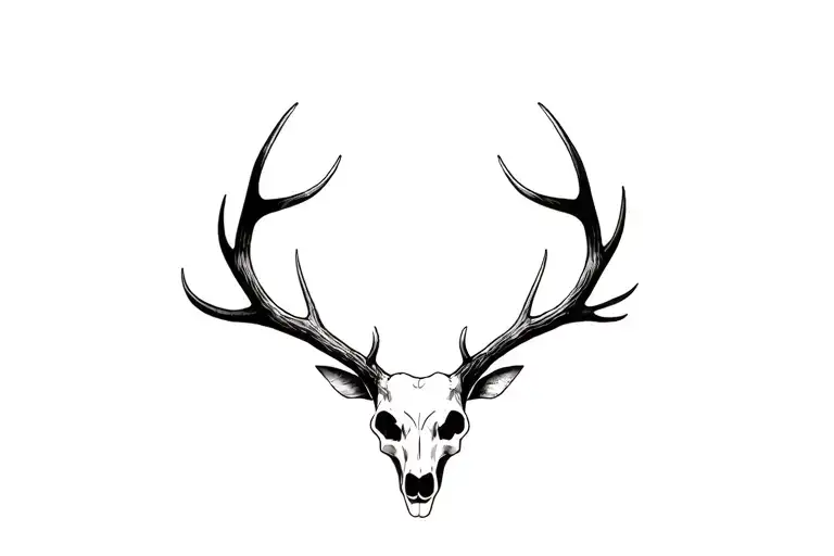 Antlers Without Skull