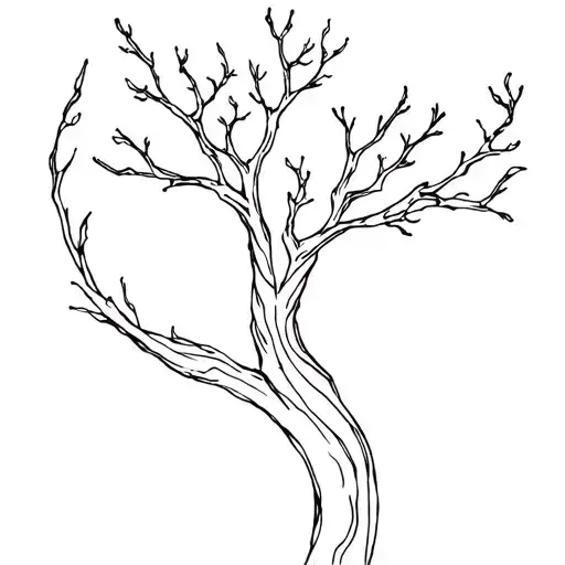 Anger Ambition Connection Aggression Helping Nature