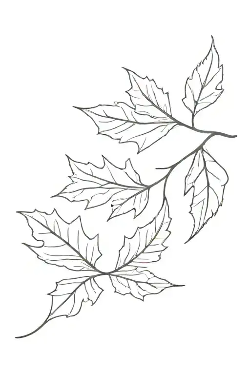 Six Oak Tree Leaves Dwindling Down In The Wind