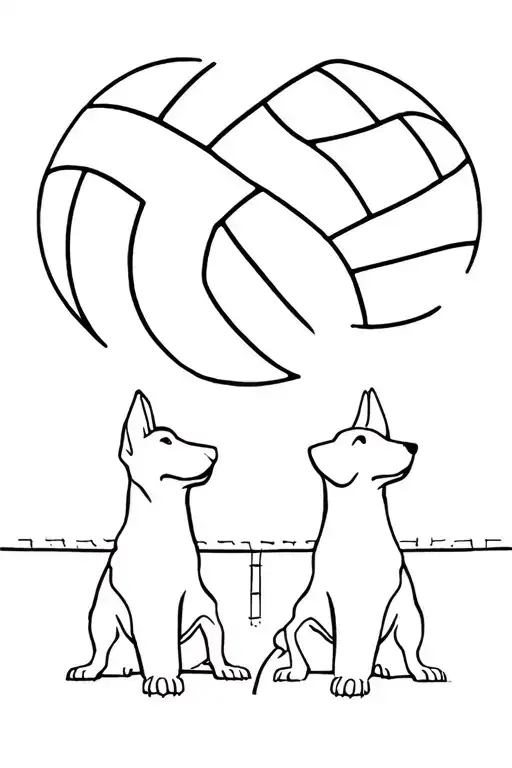 Dogs And Volleyball
