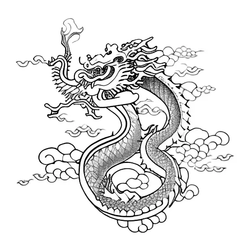 Long Flying Dragon Sleeve Chinese