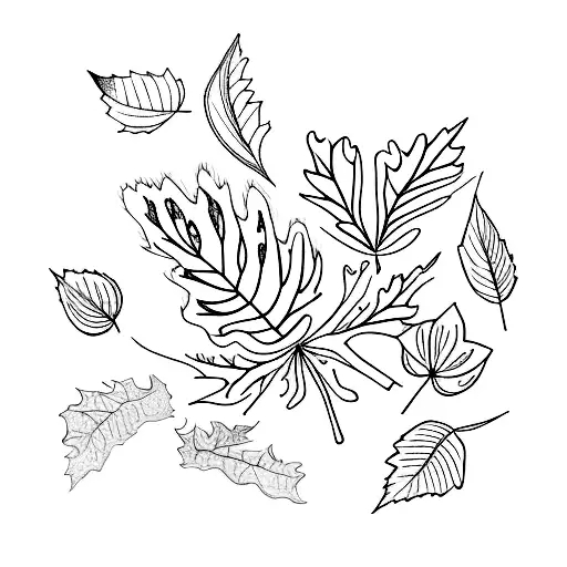 Oak Leaf And Cosmo Flower