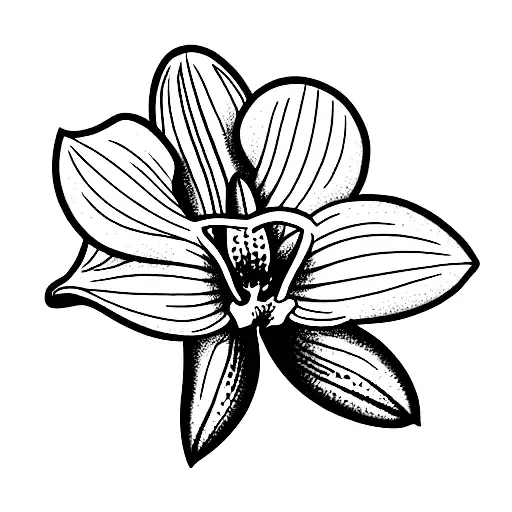 Orchid And Lily