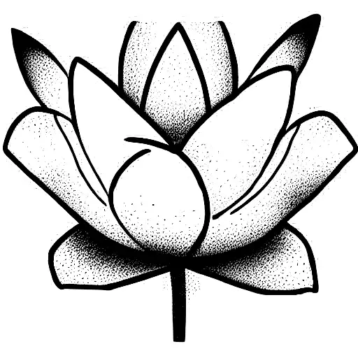 Thin Line Delicate Lotus Flower