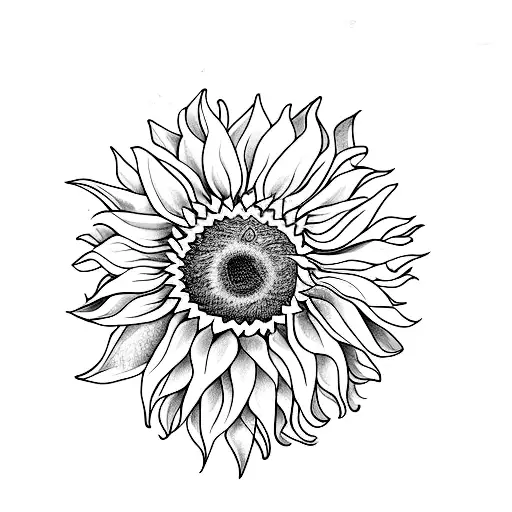 Sunflower Semi Colon