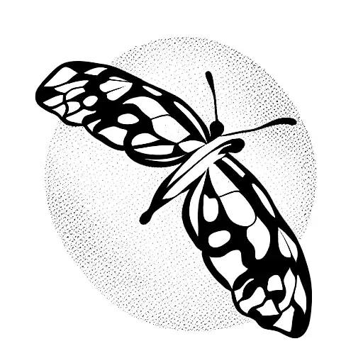 Butterfly Resting On Turtle