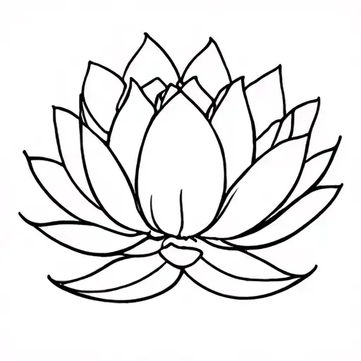 About A Lotus Flower