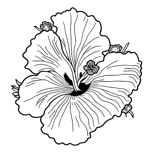 Hibiscus Black And White