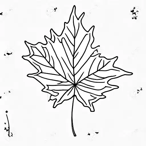 Maple Leaf