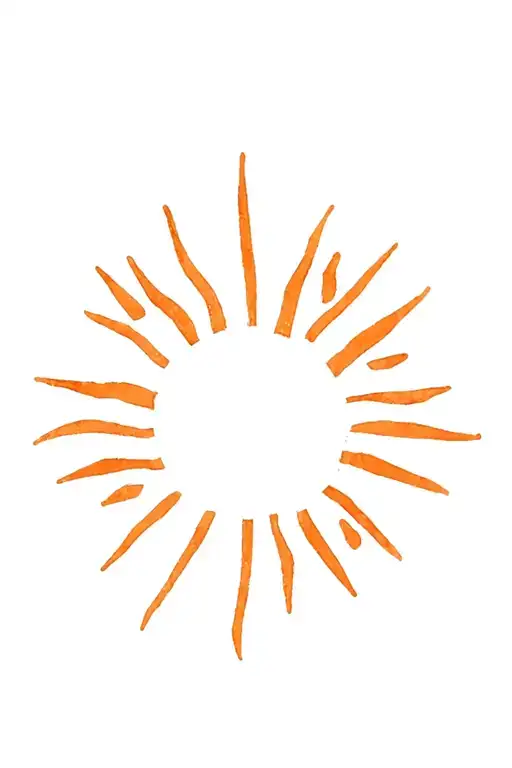 The Sun On The Back With Long Ends